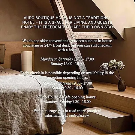 Audo Boutique 3*